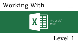 Working With Microsoft Excel lvl 1